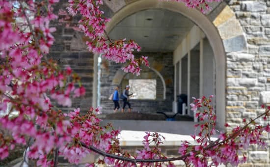 Flowers hanging down in front of an arch, with students in the background